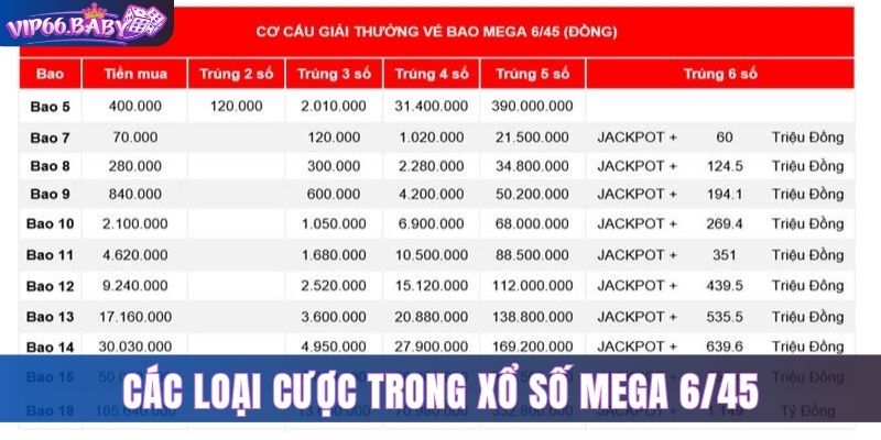 Các hình thức cược trong xổ số mega 6/45 vip66