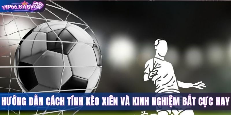 Hướng Dẫn Cách Tính Kèo Xiên Và Kinh Nghiệm Bắt Cực Hay